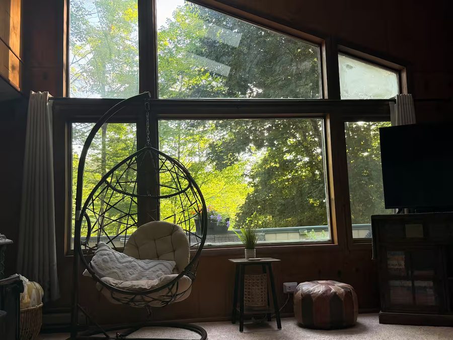 Living room at The Lakeview with a hanging egg chair and floor-to-ceiling windows onto the woods